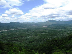foret