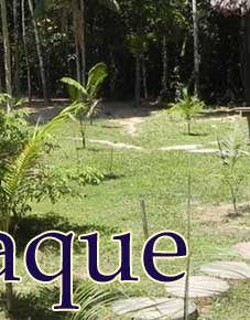 residence forestiere