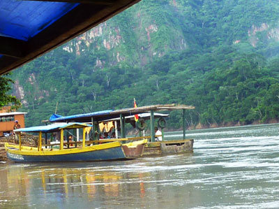 river forest and boats