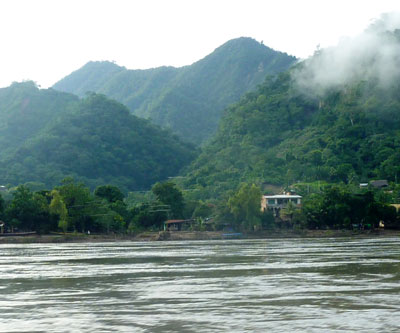 rain forest across a river