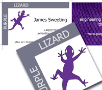 Purple Lizard image 1