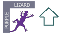 purple lizard projects